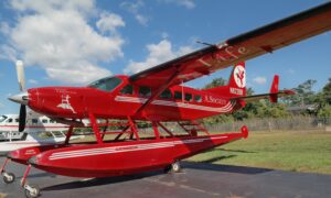 Twin Cities airplane sales
